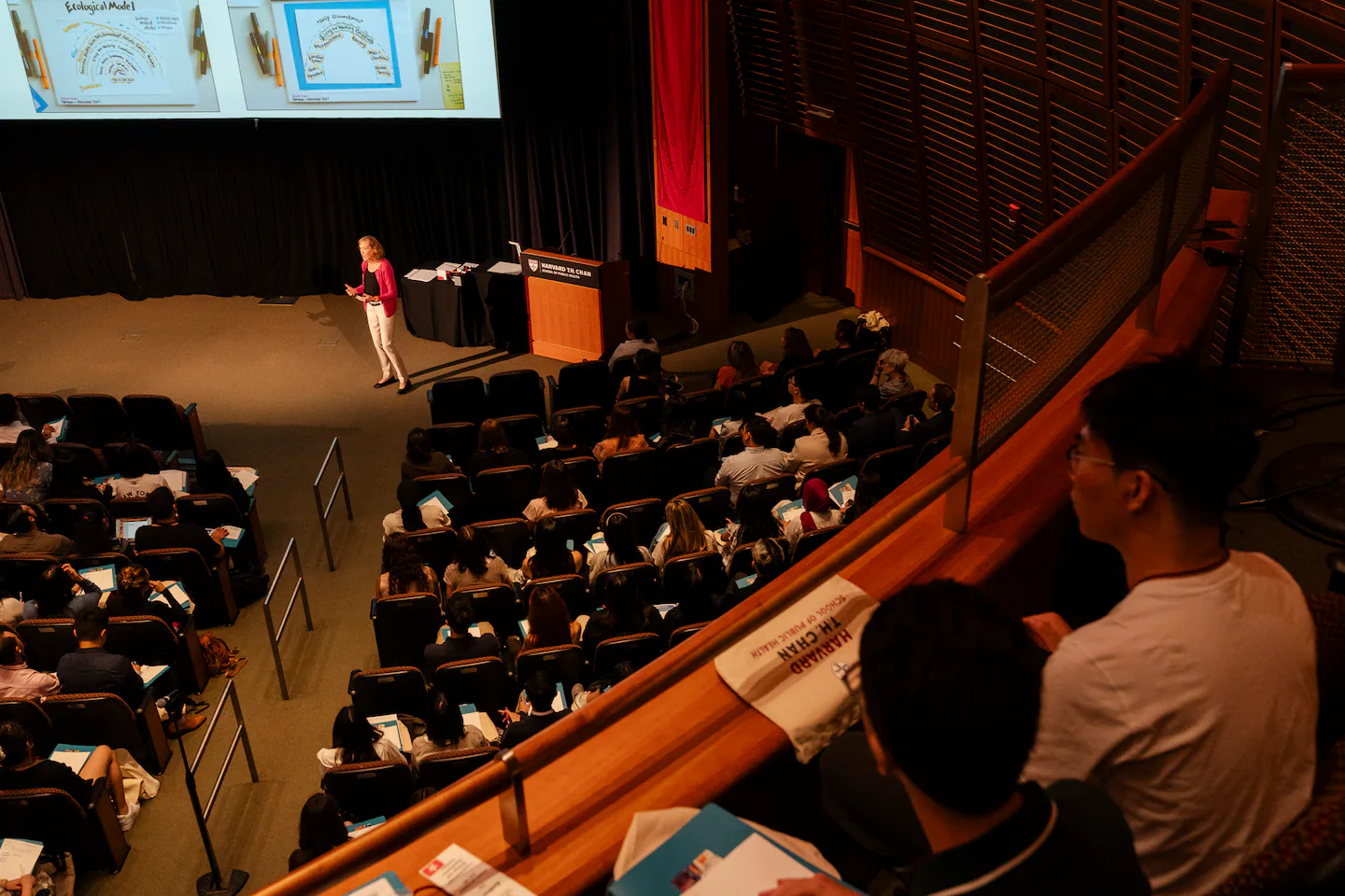 Harvard University classes are too easy, report says