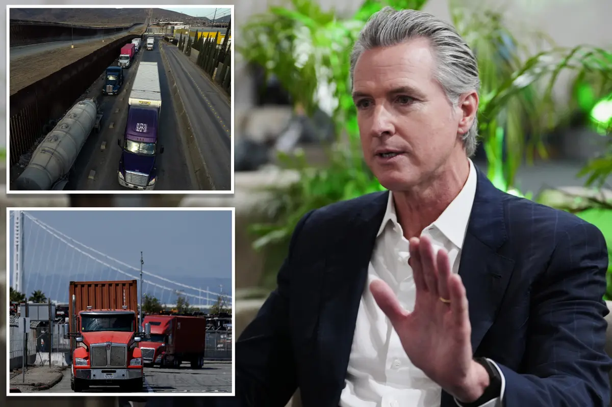 California revokes 17k commercial licenses given to migrants - but Gavin Newsom denies that immigration was the reason