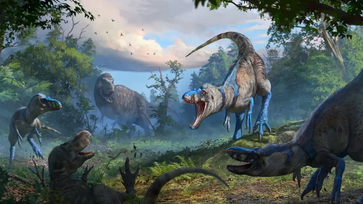 Dinosaur skeleton settles long debate over 'tiny T. rex' fossils