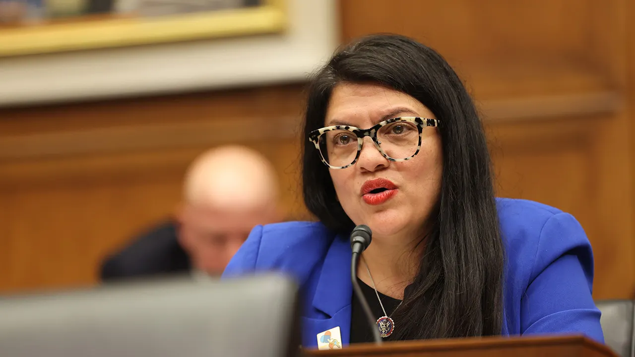 Tlaib-backed Senate candidate faces backlash after deleting anti-cop social media posts