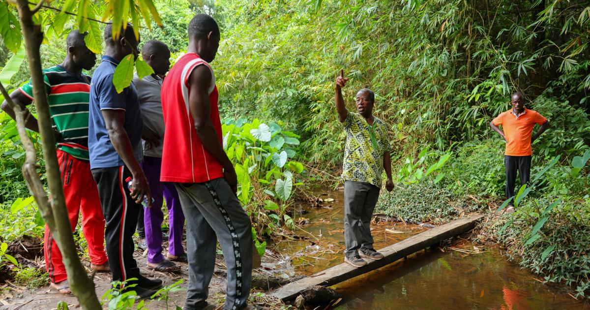 Residents turn to community patrols as illegal gold mining grows in Ghana - Imperial Valley Press Online