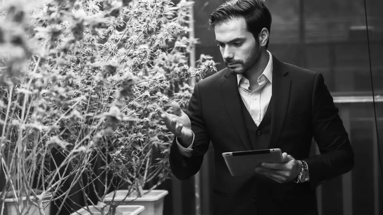 Find Your People Here: The Experience Architect