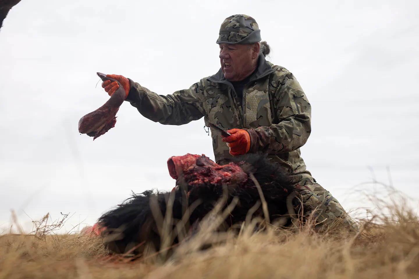 Due to shutdown, tribes are killing buffalo to feed people