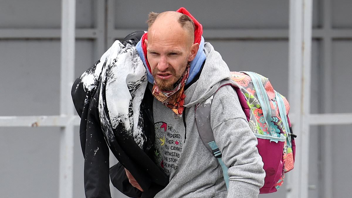 Needle-strewn parks, drag queens in schools, attacks by the mentally ill: The liberal enclave now descending into 'third world' filth