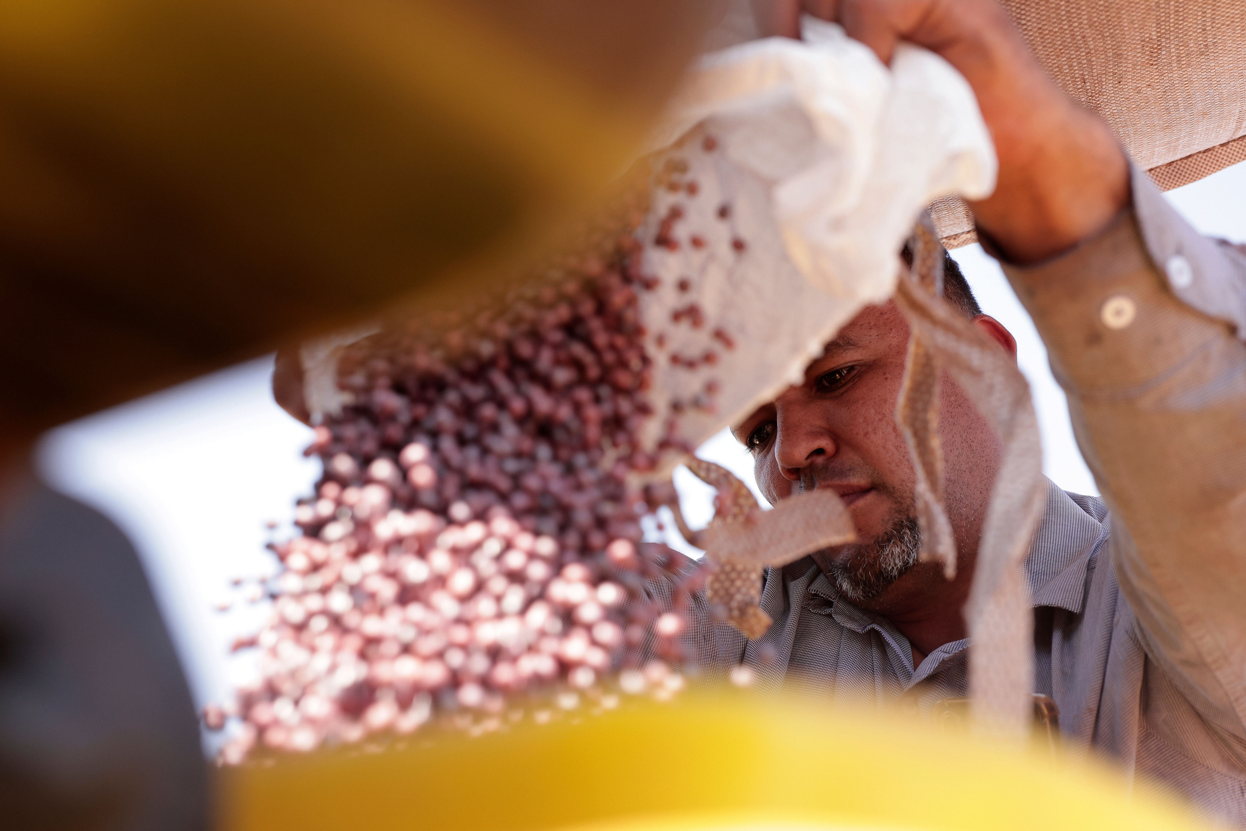 Brazil shrugs off US-China soybean deal as seasonal trade