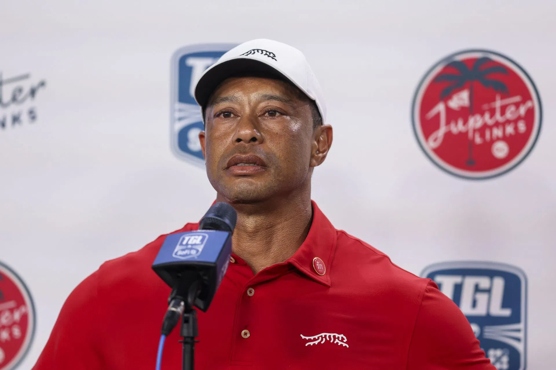 Tiger Woods comes to the aid of Donald Trump's enviornmental advisor by agreeing to help with a major project