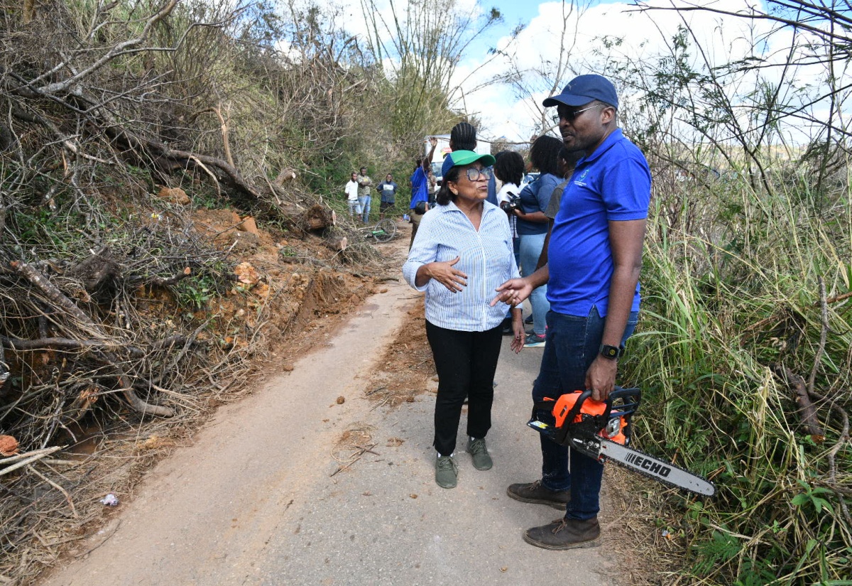 Minister Morgan Tours Trelawny Southern