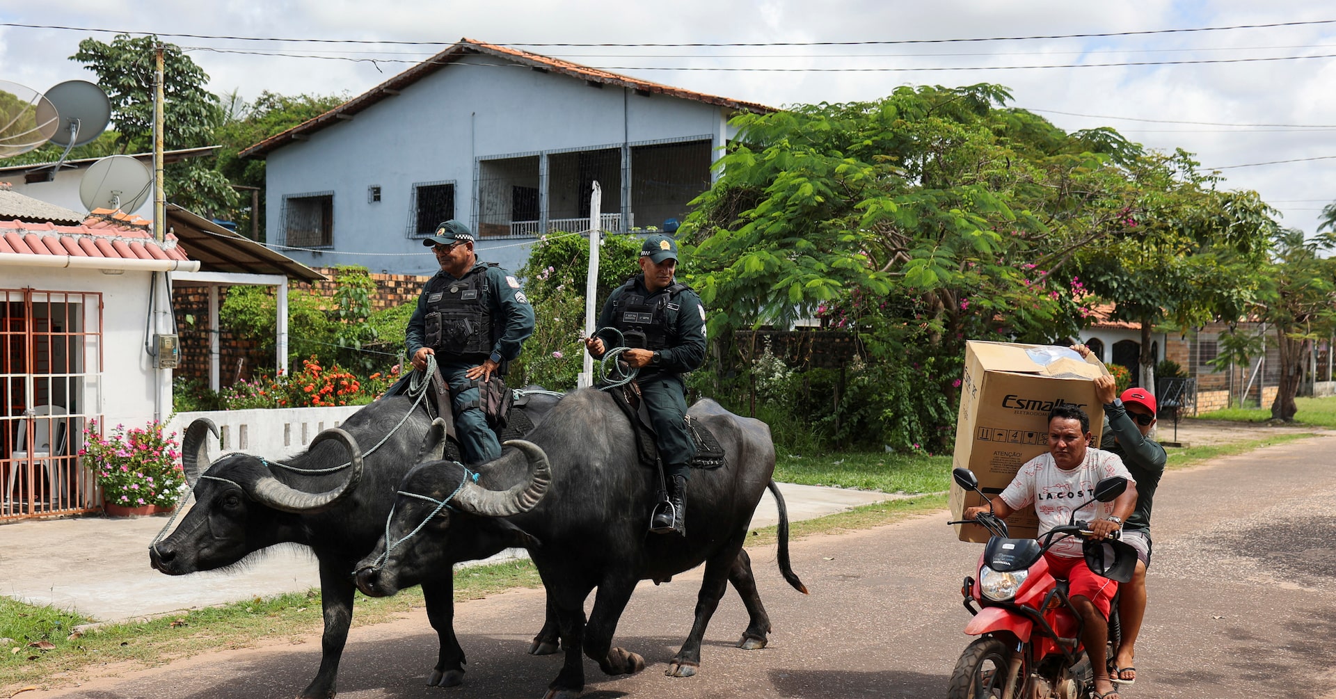 Across the bay from COP30, police patrol Amazon island on buffaloes
