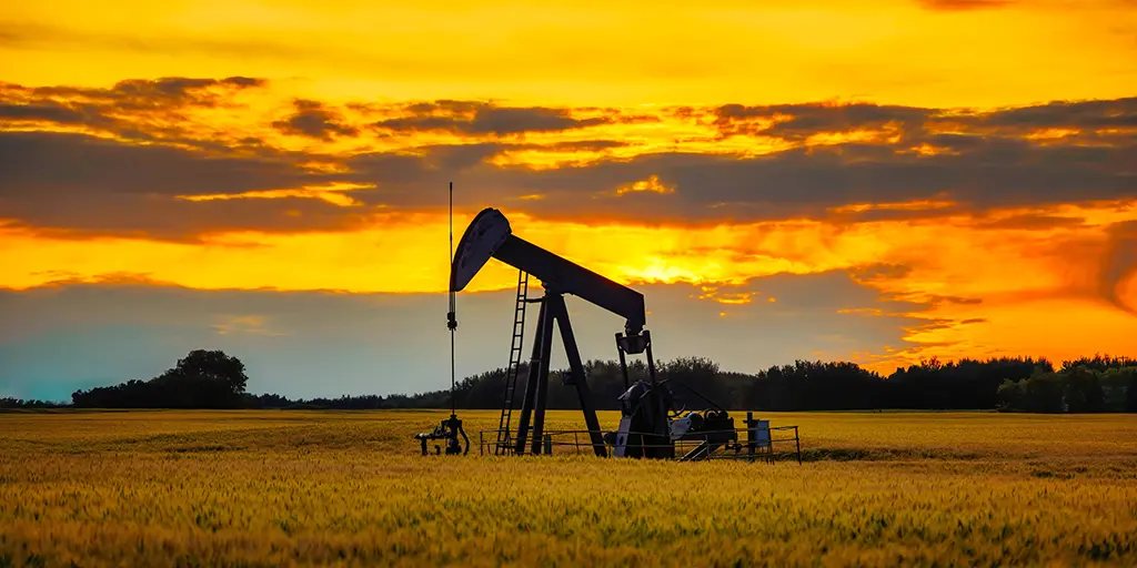 Argentinian Reform: Subsoil Privatization (Javier Milei, meet Guillermo Yeatts)