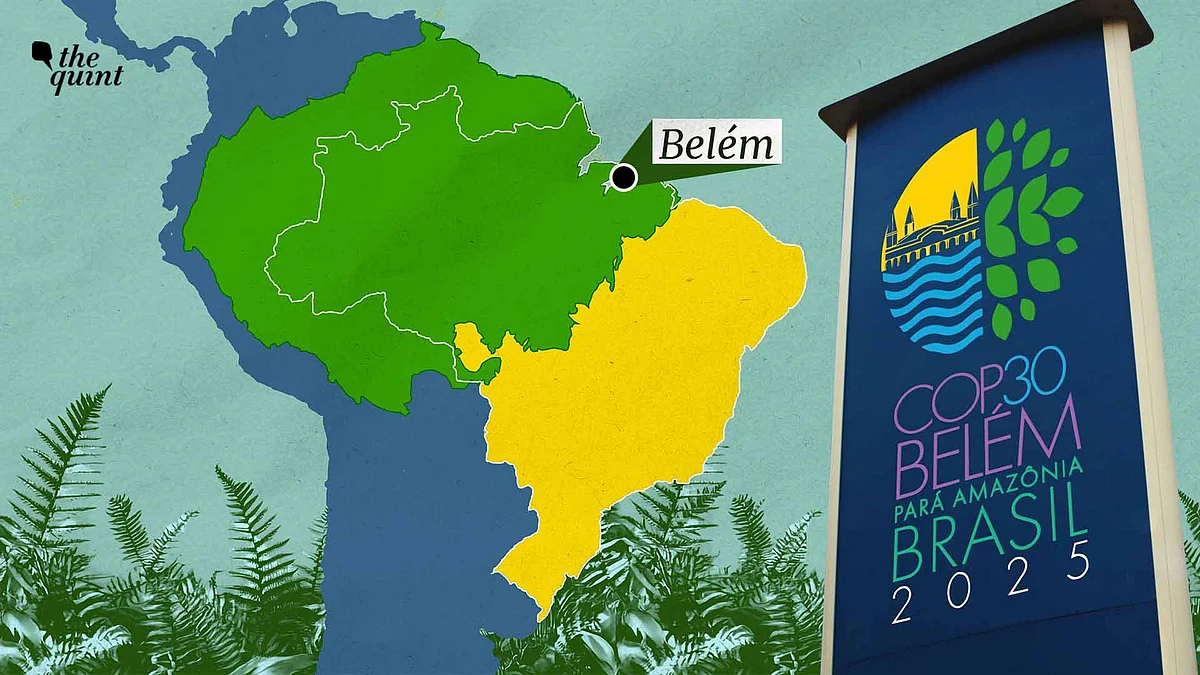 The 'Baku to Belém Roadmap' Is Not Entirely Rooted in Equality, Say Activists