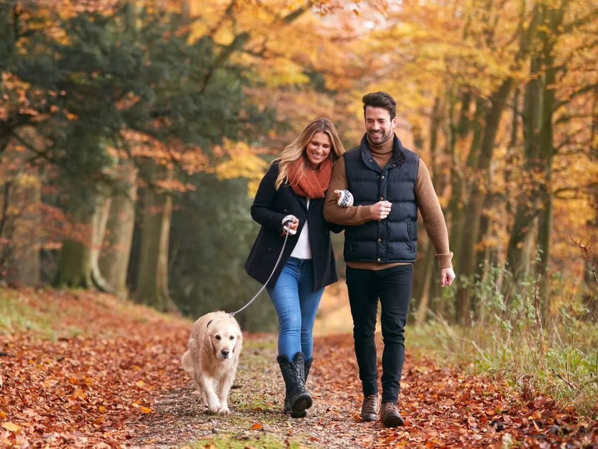 Dog owners urged to be vigilant on walks as 'poisonous' threat spikes in November