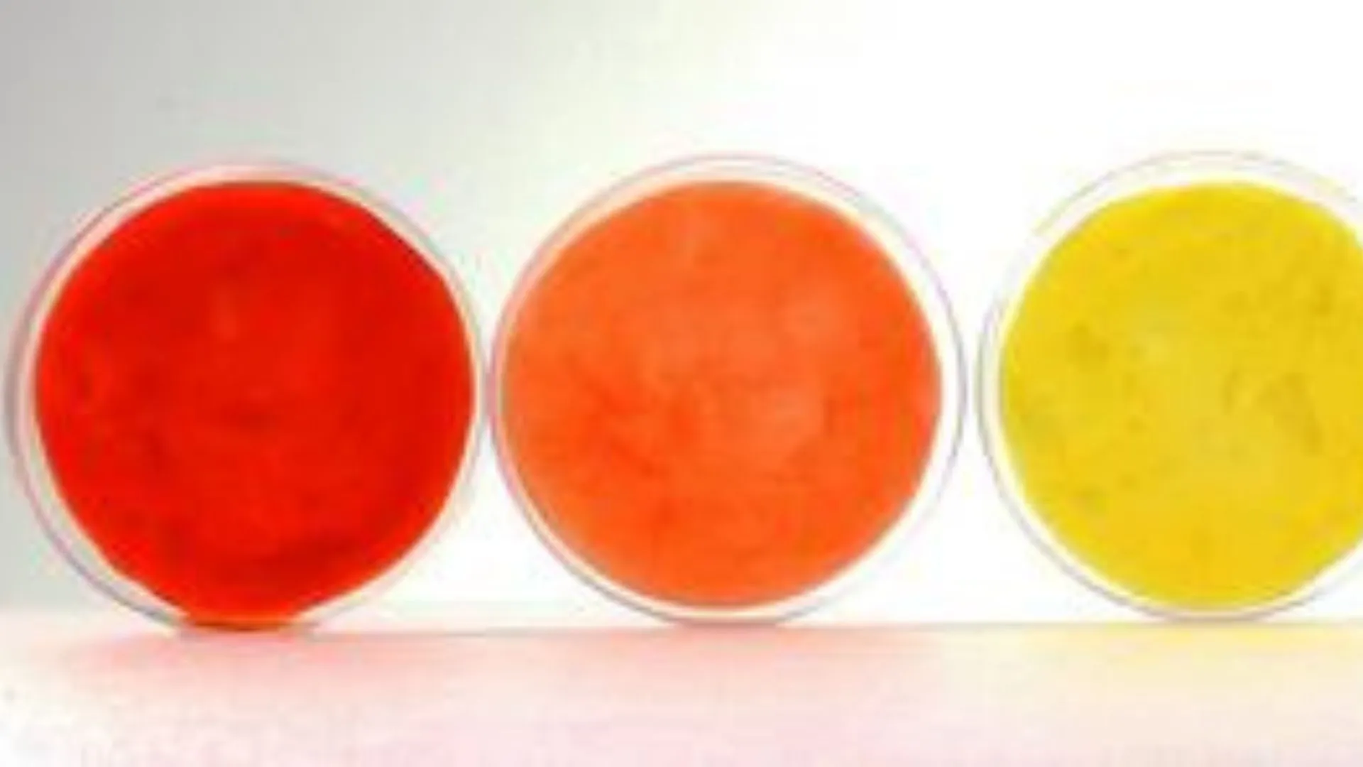 Korean team uses bacteria to spin rainbow