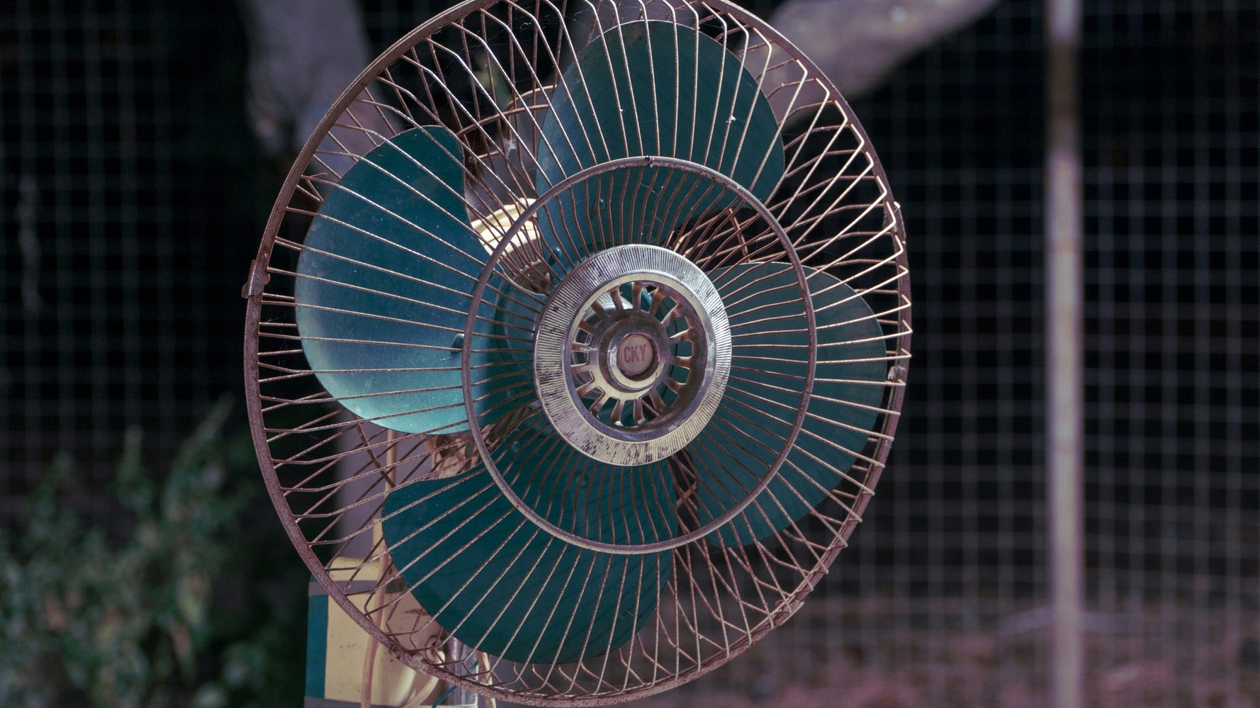 anyfans without BG
