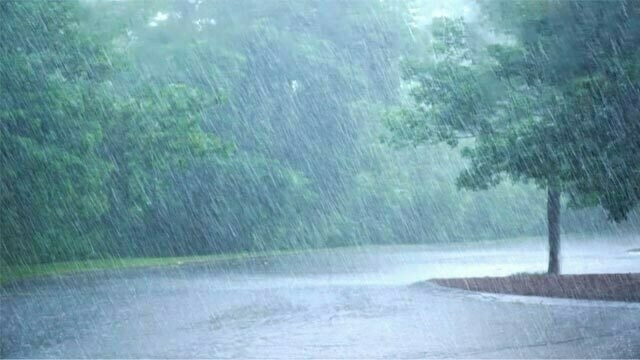 anyfans without BG