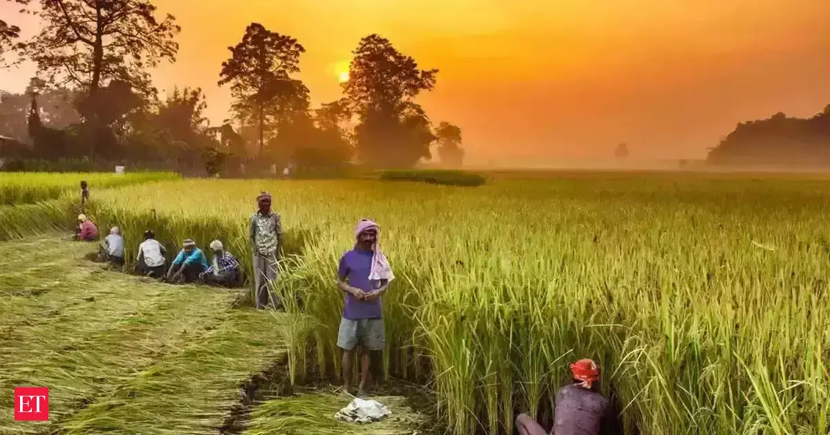 anyfans without BG