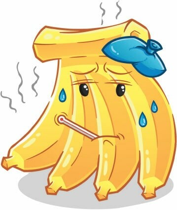 anyfans without BG