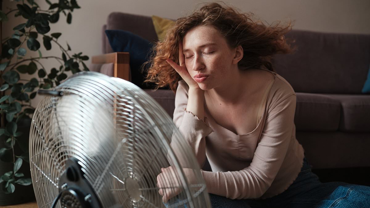 anyfans without BG