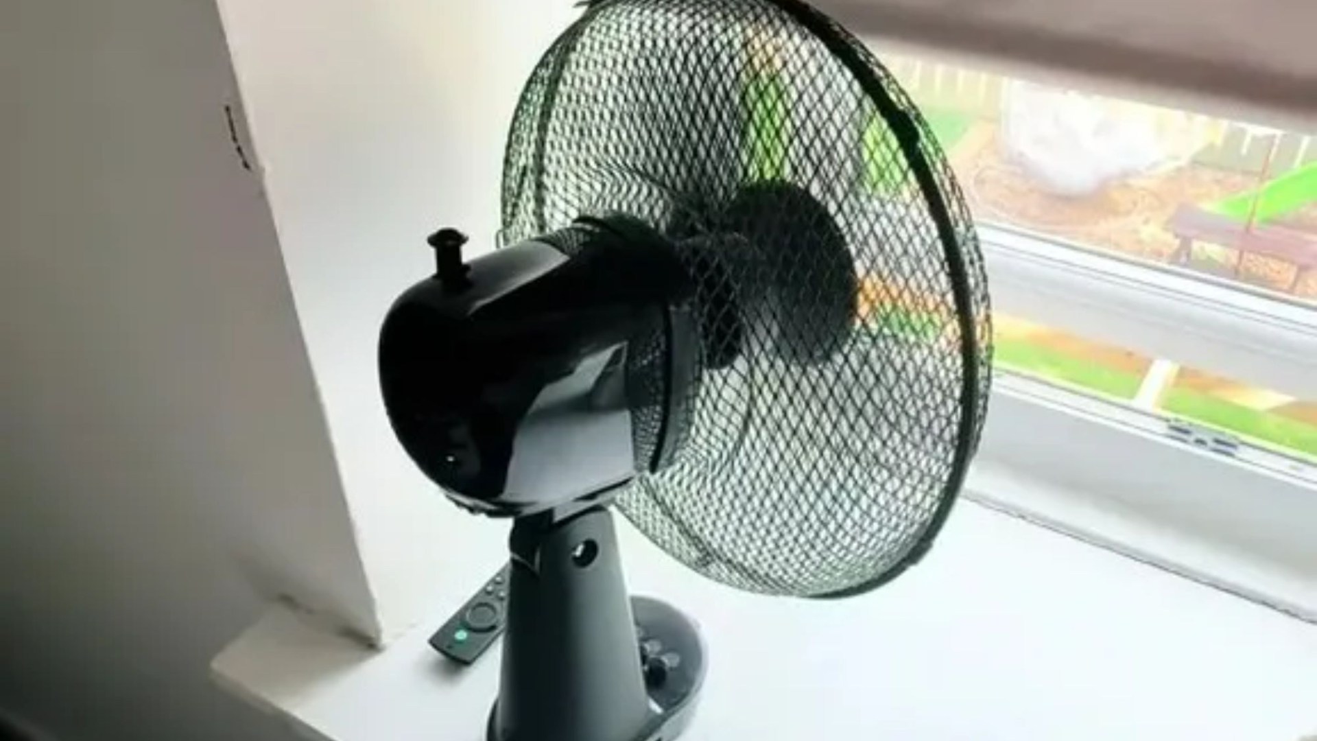 anyfans without BG